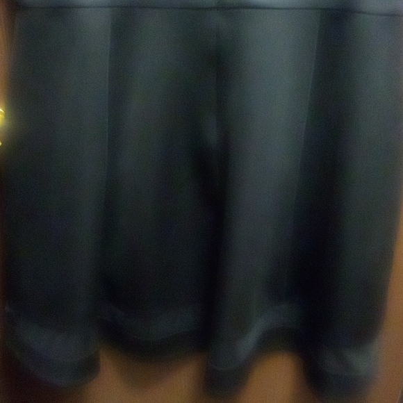 Lane Bryant Neoprene Sheer Dress - Picture 12 of 12